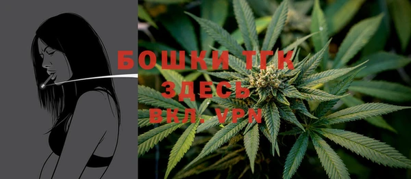 спайс Каменногорск