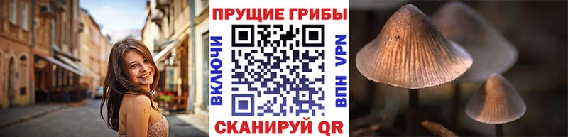 Купить закладки  Джанкой  Галлюциногенные грибы GOLDEN TEACHER 